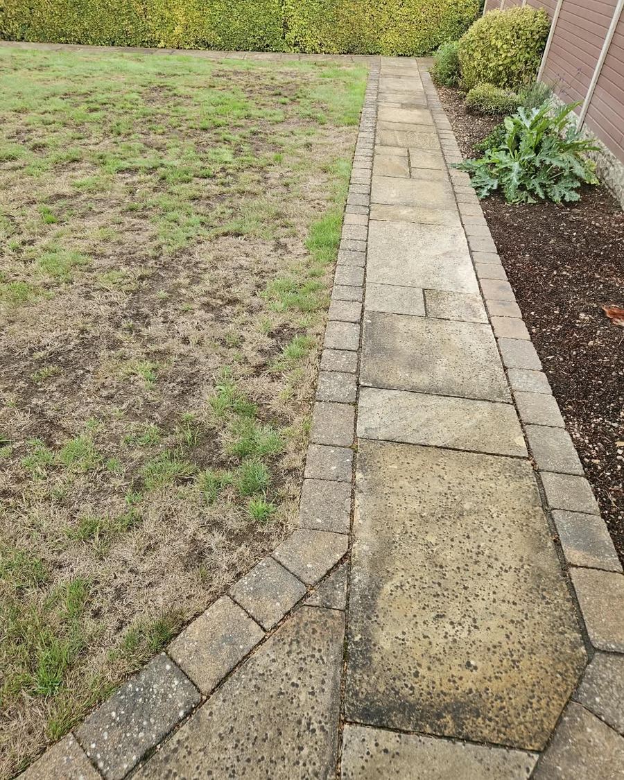 Garden path before cleaning