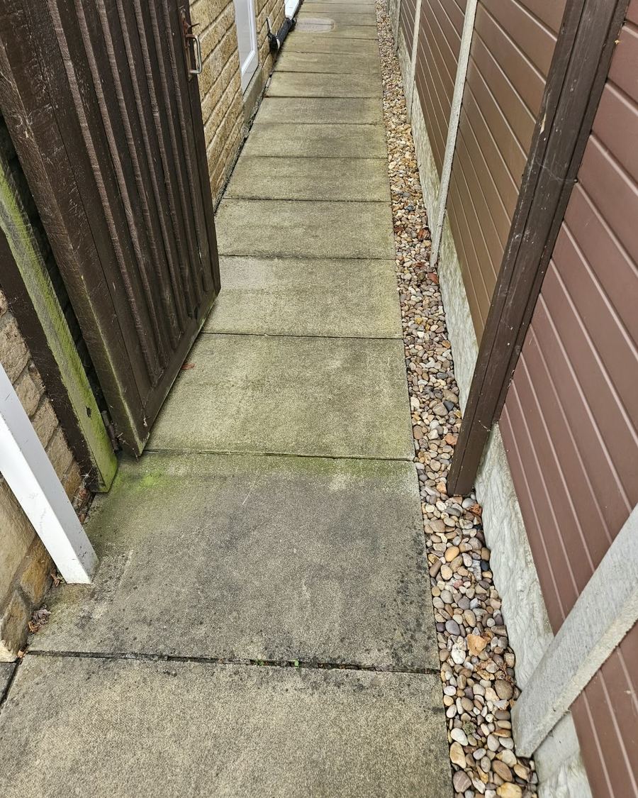 Garden path before cleaning