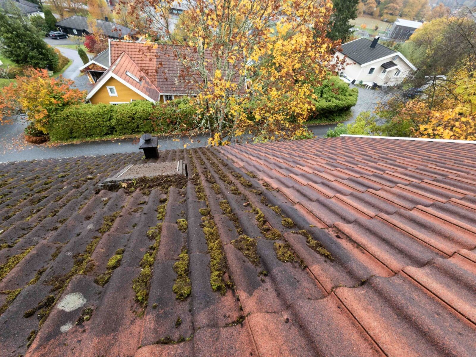 Roof cleaning in North Hykeham by Fenland Property Care